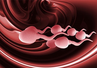 Sperm kalitesini artıran besinler