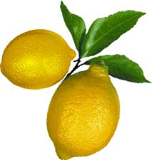 Limon Kanserden Gözetiyor