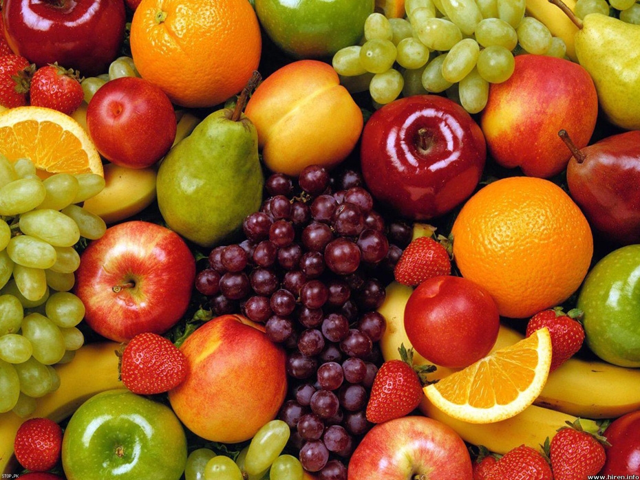 Renkli Meyveleri Bolbol Harcayın