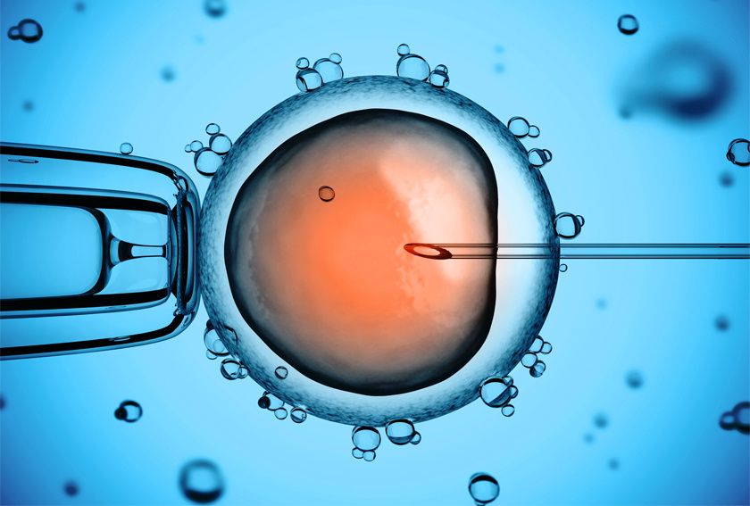 Tüp bebekte zafer bahtını artıran yeni keşif: Sperm radarı!