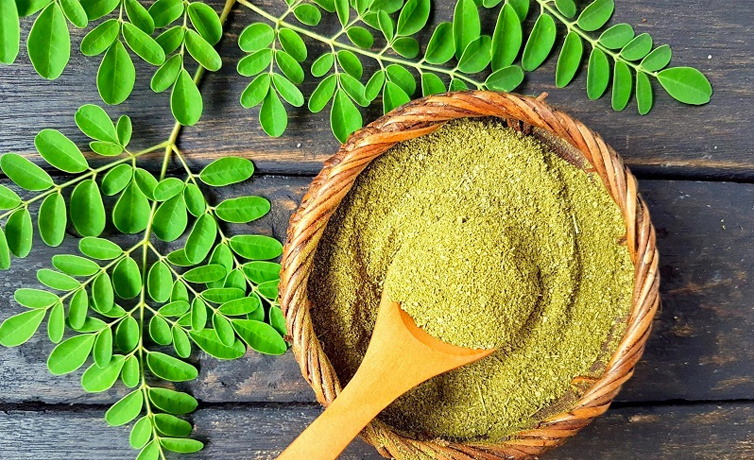 Moringa çayı nedir faydaları nelerdir neye iyi gelir?